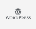 wordpress-logo-wordpress-agentur-saarbruecken-original-1-1.png